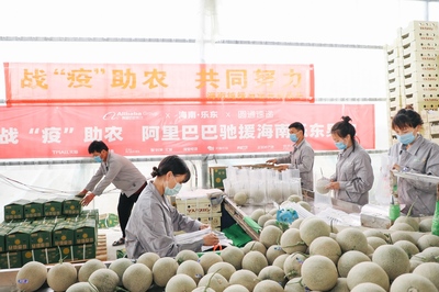 爱心助农打通产销路，阿里巴巴“抢收”滞销农产品直供北上广