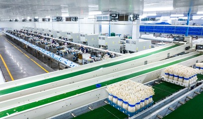 重庆食用菌产业崛起 战略引领下的第五大农产品新篇章