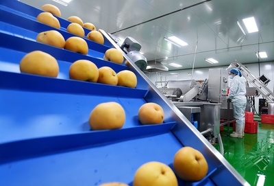 河北晋州 以农产品深加工为引擎，激活县域经济发展新动能