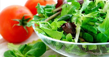 东莞虎门 现代农业配送体系的构建与农产品的标准化生产