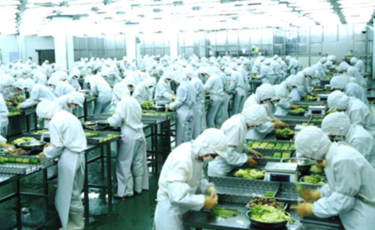 求索企业可持续 走进龙大，探访生态农业产业链中的农产品生产