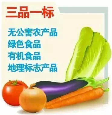 农业农村部启动&ldquo;三品一标&rdquo;提升行动:将打造国家级区域公用品牌300个、企业品牌500个